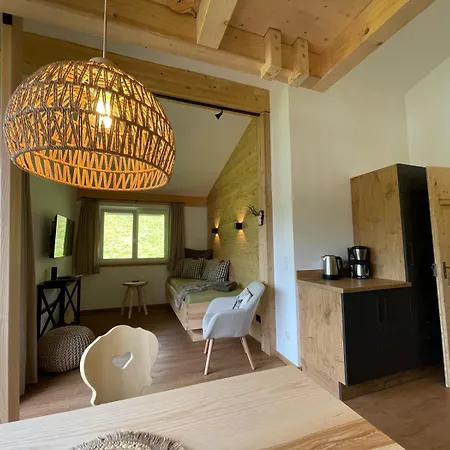 Stadl - Skipass Im Winter Und Bergbahnen Im Sommer Inklusive Apartment *