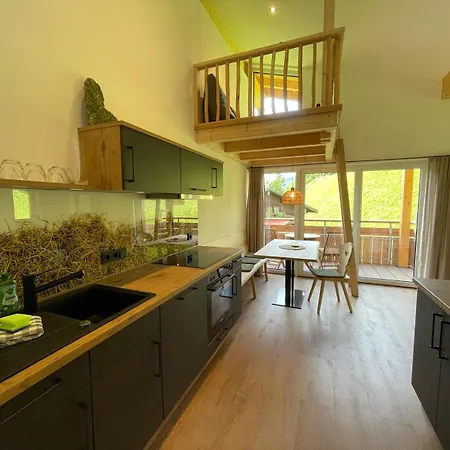 Stadl - Skipass Im Winter Und Bergbahnen Im Sommer Inklusive Apartment Hinterstein