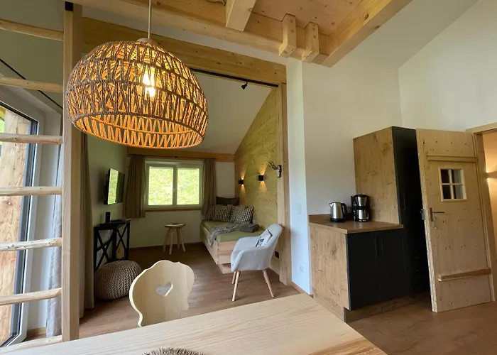 Stadl - Skipass Im Winter Und Bergbahnen Im Sommer Inklusive Apartment *